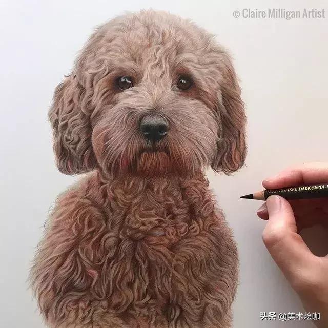 画的比照片还逼真,画的比照片还真实