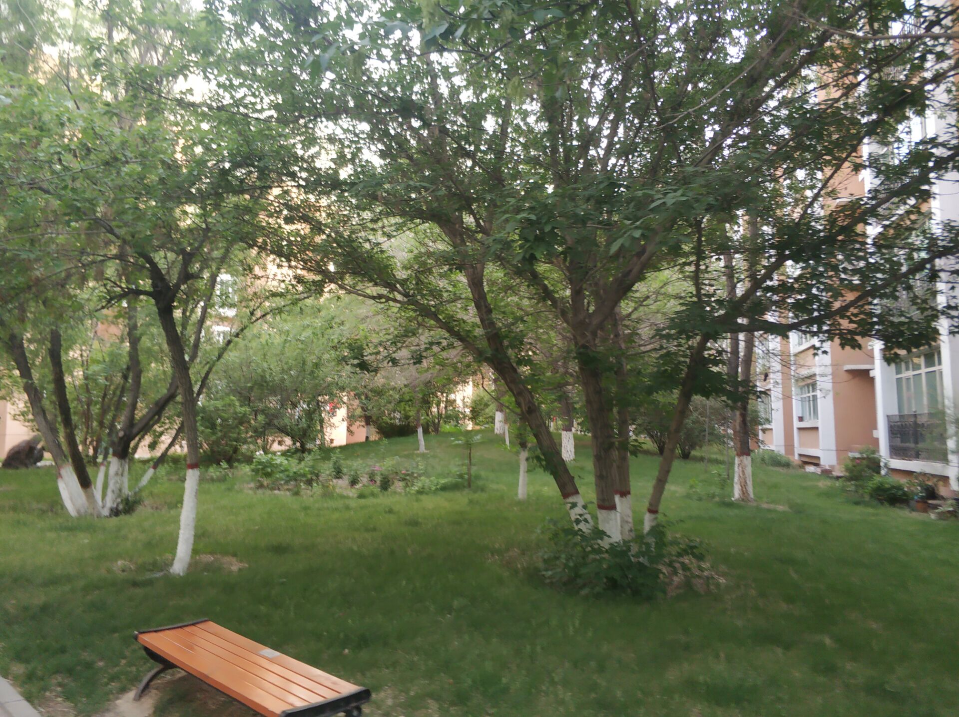 华美文轩乌鲁木齐,华美文轩家园乌鲁木齐