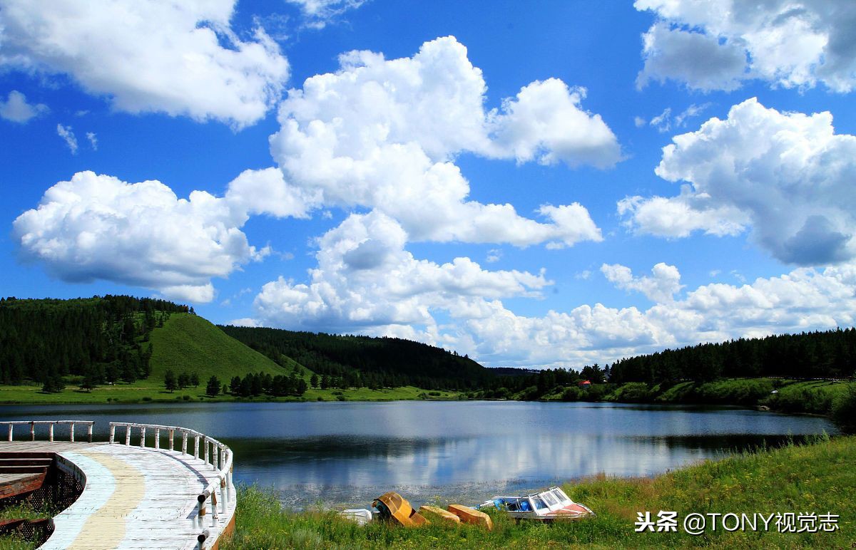 佳能尼康!新手选单反相机,推荐这几款机型,你get到了吗