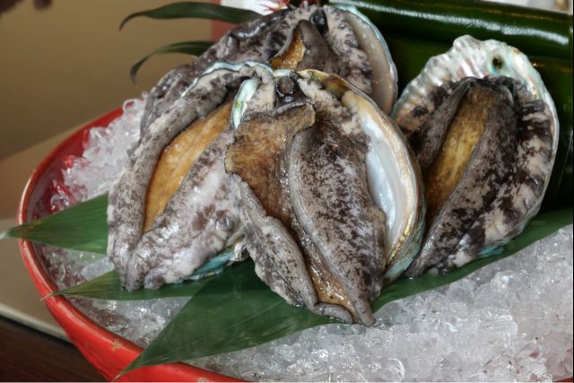 日本东京旅行攻略自由行,日本游记自由行攻略