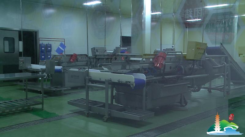 【媒体进企业聚焦新发展】宏大教育:以产业创新为抓手，全力实现三年倍增目标