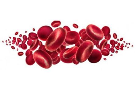 血液科病人预防出血措施,再障这种恶性血液病该怎么预防