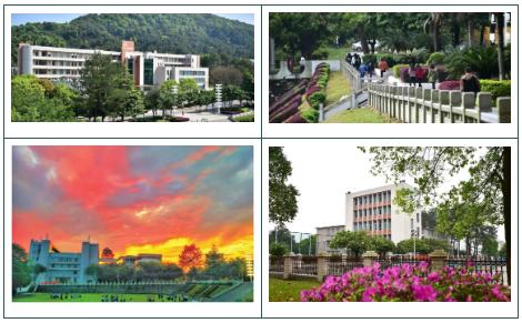 广东松山职业学院有本科读吗,广东高职高考复习资料推荐