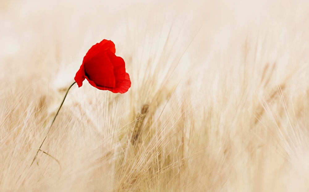 我想甩掉谈了5年的博士女友,接受富二代的追求,该怎样分手?