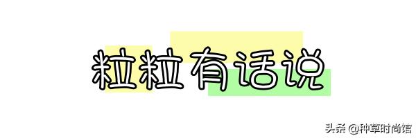 气垫真的很垃圾吗,气垫属于什么垃圾