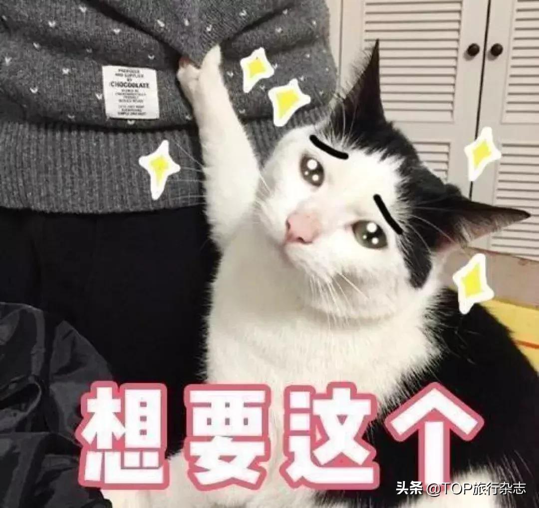 赴日中国游客现大幅增长,赴日旅游空前火爆