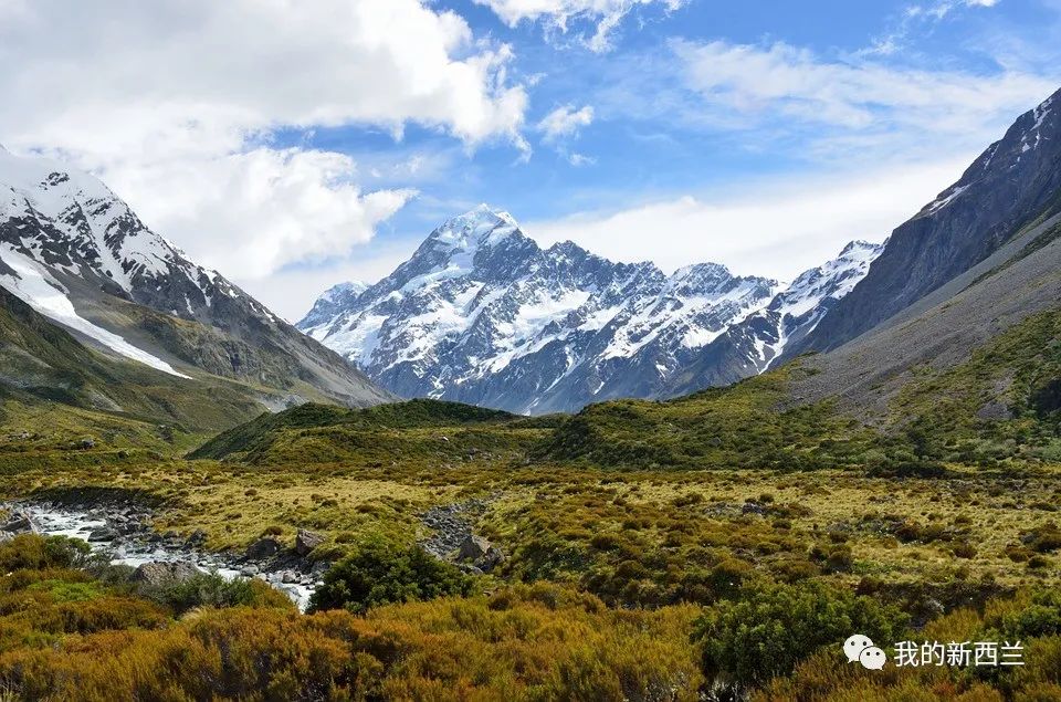 疫情时期新西兰的生活,疫情下新西兰买菜