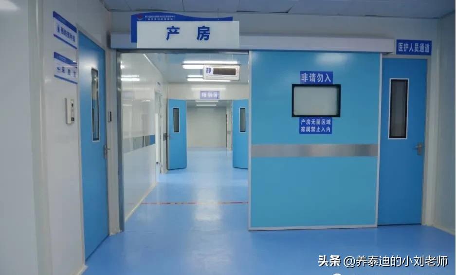 产房里的那些羞羞事你知道多少