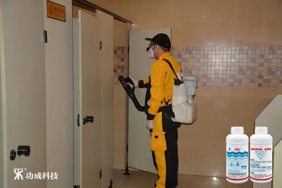 卫生间小虫子蛾蠓怎么来的,卫生间有小虫蛾蚋怎么治