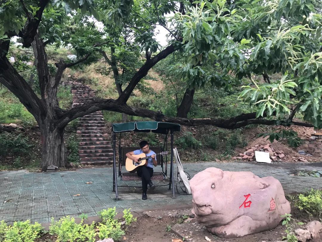 杏子熟了好吃又爽口,周末去近郊景盛源消暑摘杏
