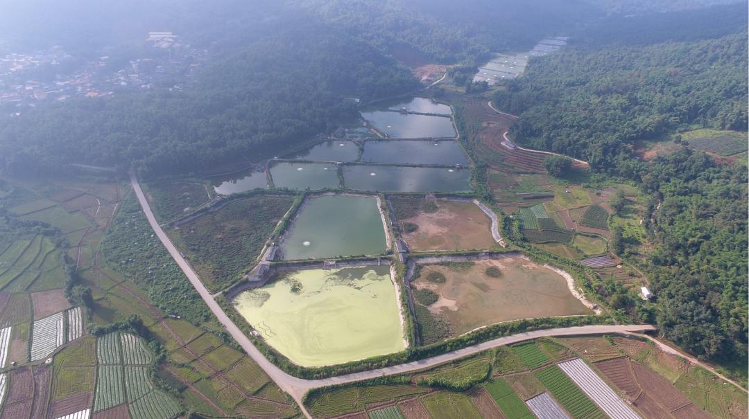 【芒检·温度】“鱼塘”变良田，芒市检察这样守护基本农田