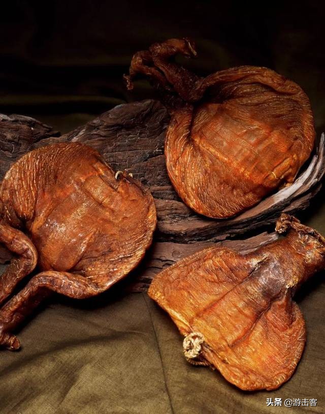 鱼胶种类有几种及辨别方法,野生鱼胶与养殖鱼胶的区别