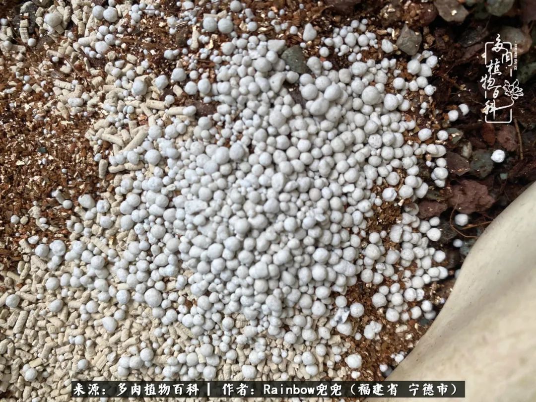 岁月无波澜余生不悲欢是啥意思,愿你岁月无波澜敬我余生无悲欢