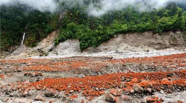 四川大渡河峡谷国家地质公园 (四川中江羚羊峡谷)