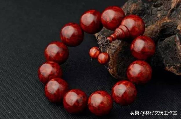 天价印度小叶紫檀树,印度小叶紫檀千年树王