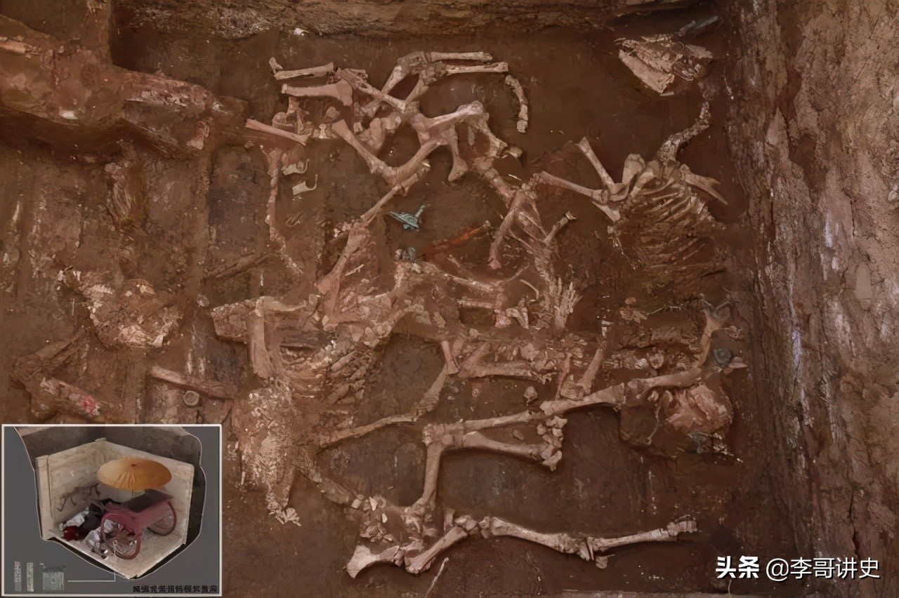 陕西考古发现大型石阵,陕西发现神秘头骨