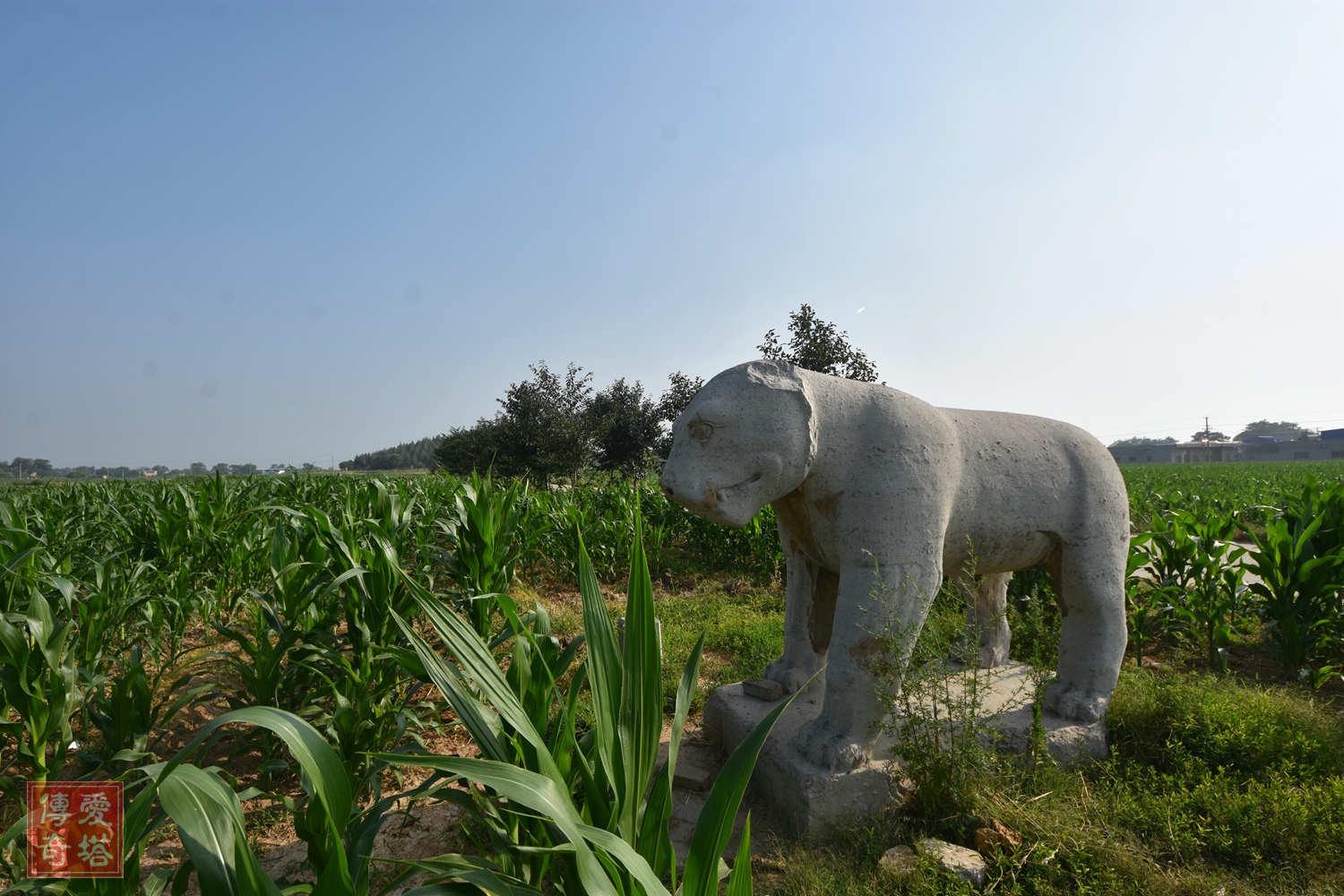 2020年经典电视剧有哪些,2020年将要播出的电视剧有哪些