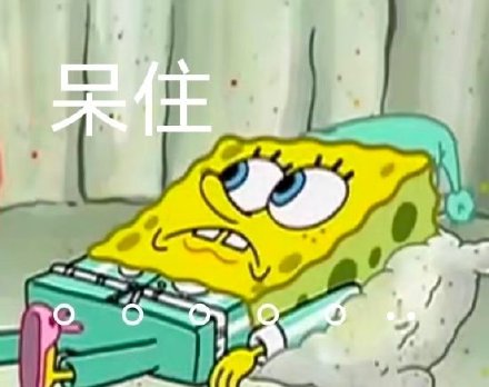 张晋给贾静雯当替身,张晋做过贾静雯武打替身