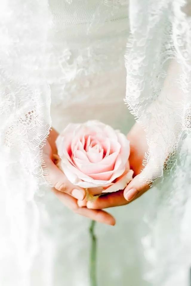 开玩笑送什么花合适呢,各种场合应该送什么花