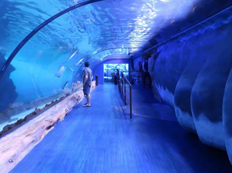 迪拜旅游景点攻略图大全,迪拜周围景点旅游攻略大全