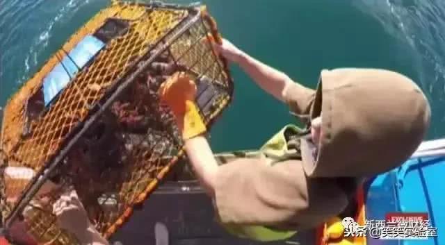 黑帮里面的钱和武器,黑帮用的东西是什么