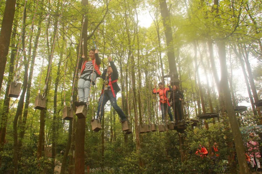 精品旅游线路乡村游亲子游,四川几大精品旅游线路