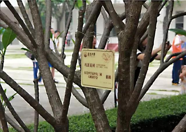 这所培养出2位院士的名校，是每一位东莞人的情结