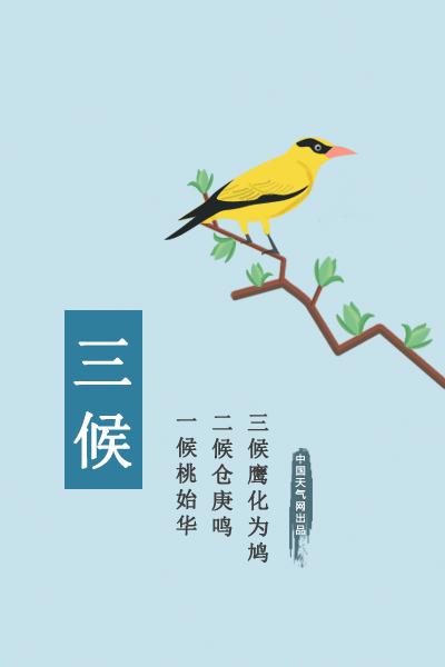 一鼓轻雷惊蛰细筛微雨落什么意思,一鼓轻雷惊蛰后细筛微雨落梅天