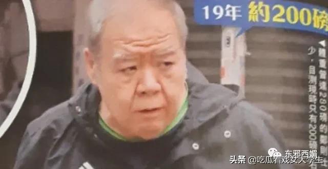 肥猫的真实样子,大家还记得这只很馋的小猫吗