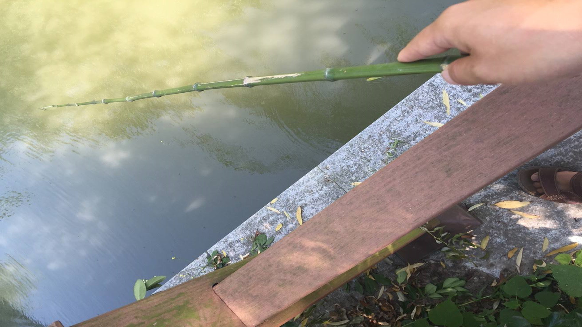 古代钓鱼都用什么钓,古人钓鱼装备