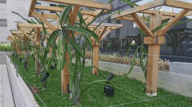 鏂板姞鍧unan璐墿涓績 (鏂板姞鍧￠粦绉戞妧璐墿涓績)