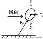 初二物理力的讲解,北方课堂初中物理