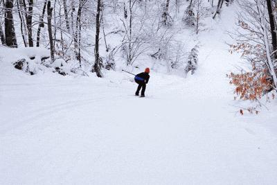 西安白鹿原滑雪攻略,西安滑雪的地方有哪些景点