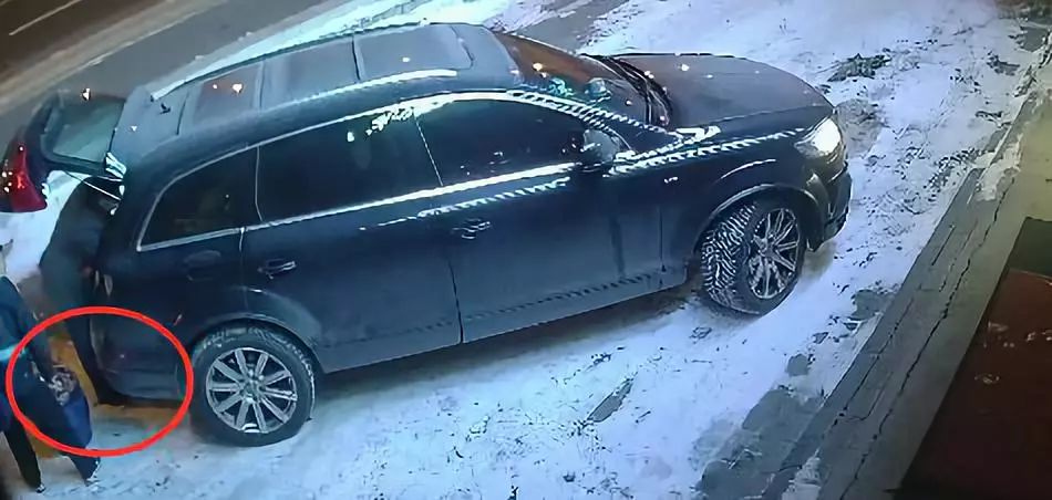 男子开奥迪偷东西,男子开奥迪却在凌晨偷盆栽