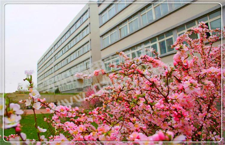 辽宁翔宇中学,2021辽宁沈阳翔宇中学