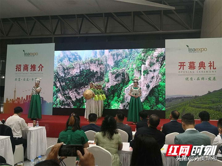 一片莓茶为何舞动上海滩