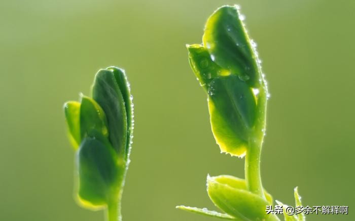 2019社会正能量事例,2019正能量的句子