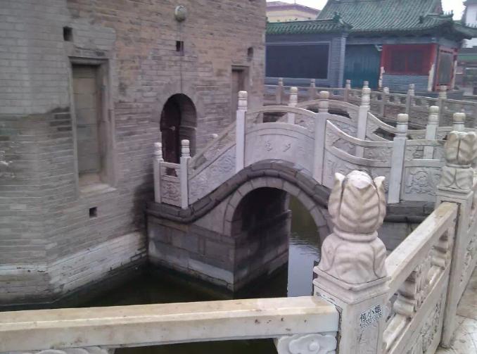 奇怪的古塔燕子----“严冬不南迁，有足不成行”