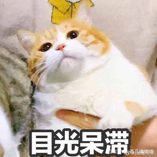 那我怎么办表情包可爱,表情包我怎么发不出去