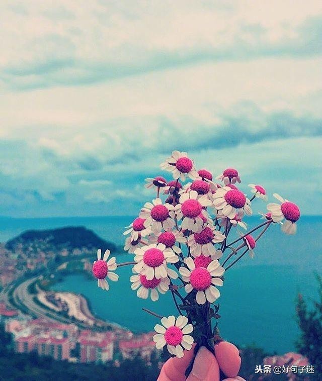 早安经典语录发朋友圈,早安正能量接地气简单语录