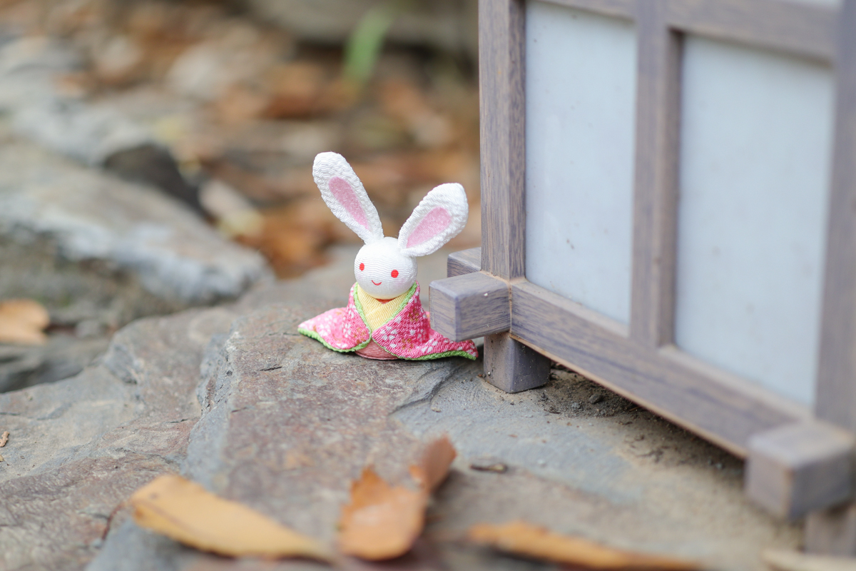 佳能eosm200测评,相机推荐入门佳能eosm200