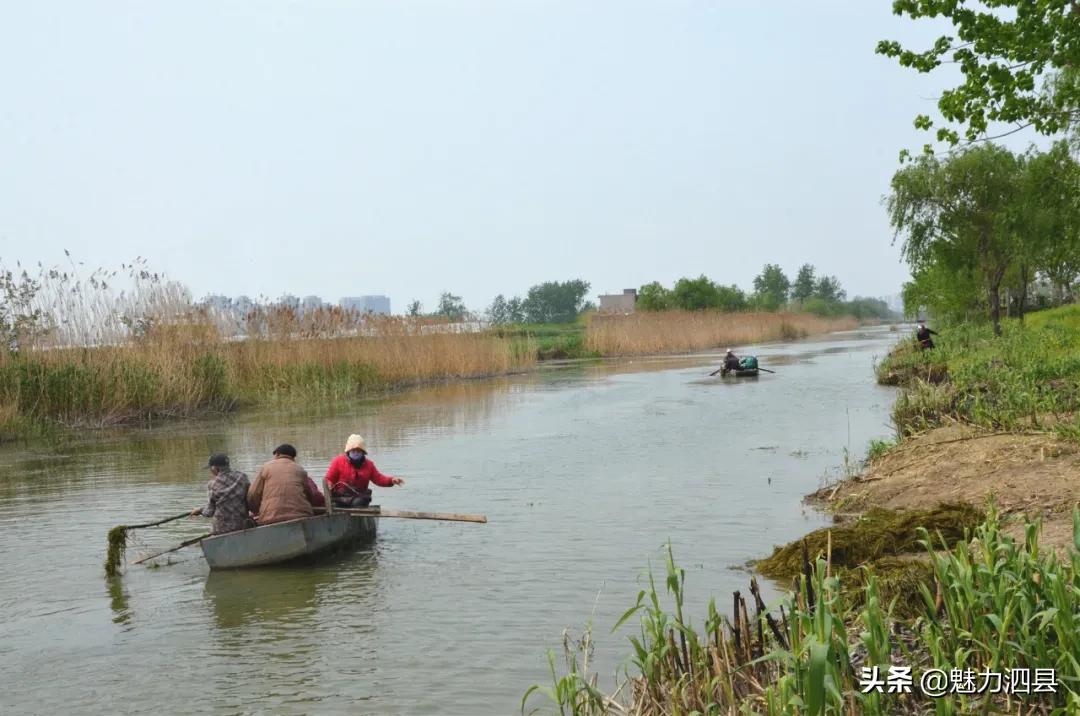 全国文明县城泗县,2024年泗县评上文明城市了吗