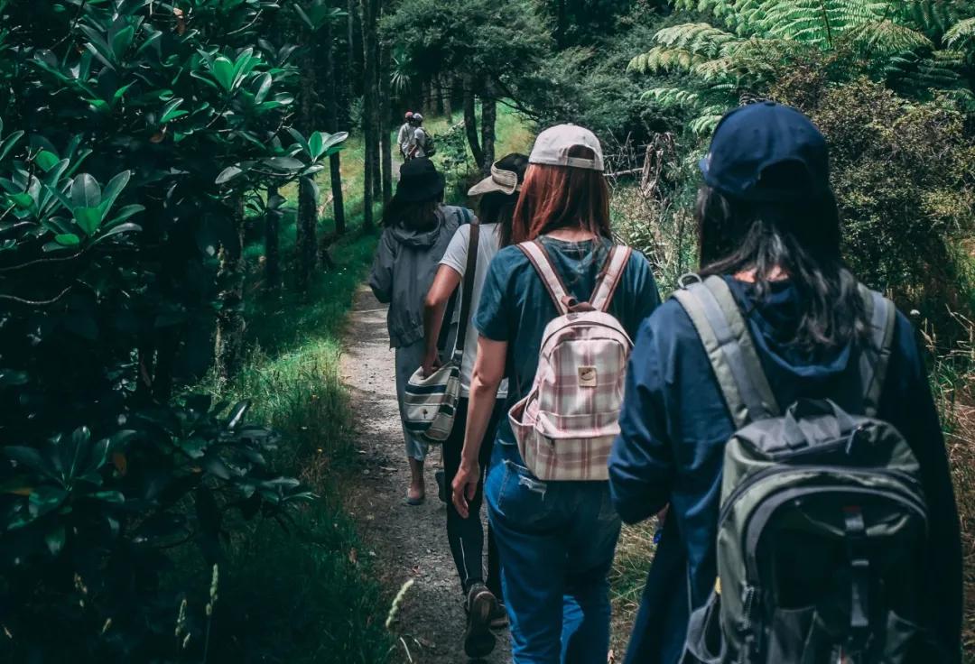 徒步20公里、海岛游变抄佛经，团建之后我想离职了