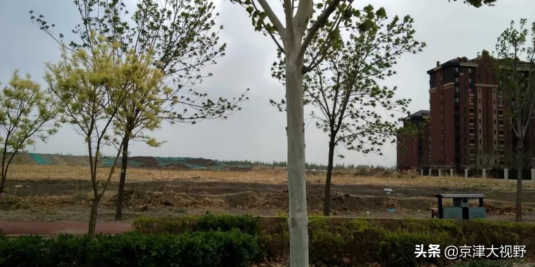 南湖，武清的天使之泪2.0版