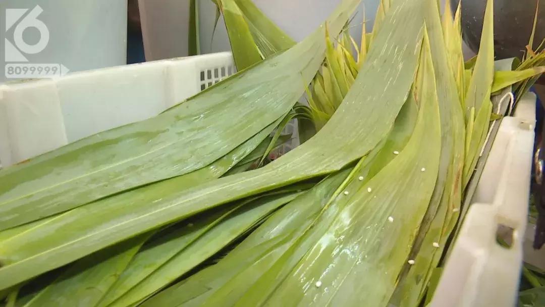 吓的我粽子都掉了!网传化学干粽叶“回春”*法大**绿油油的“回春”粽叶有毒