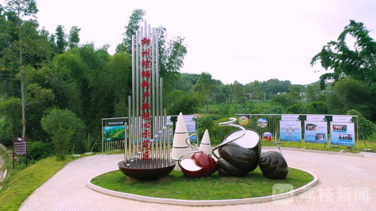 “百城千县万村调研行”|广西柳州:从街头小吃到“网红”,小小螺蛳粉撬动百亿大产业