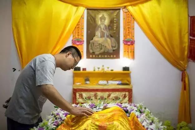 宠物走了怎么安慰高情商,宠物离去怎么走出去