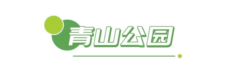 春光恰好清明小长假赏花指南,清明小长假花海