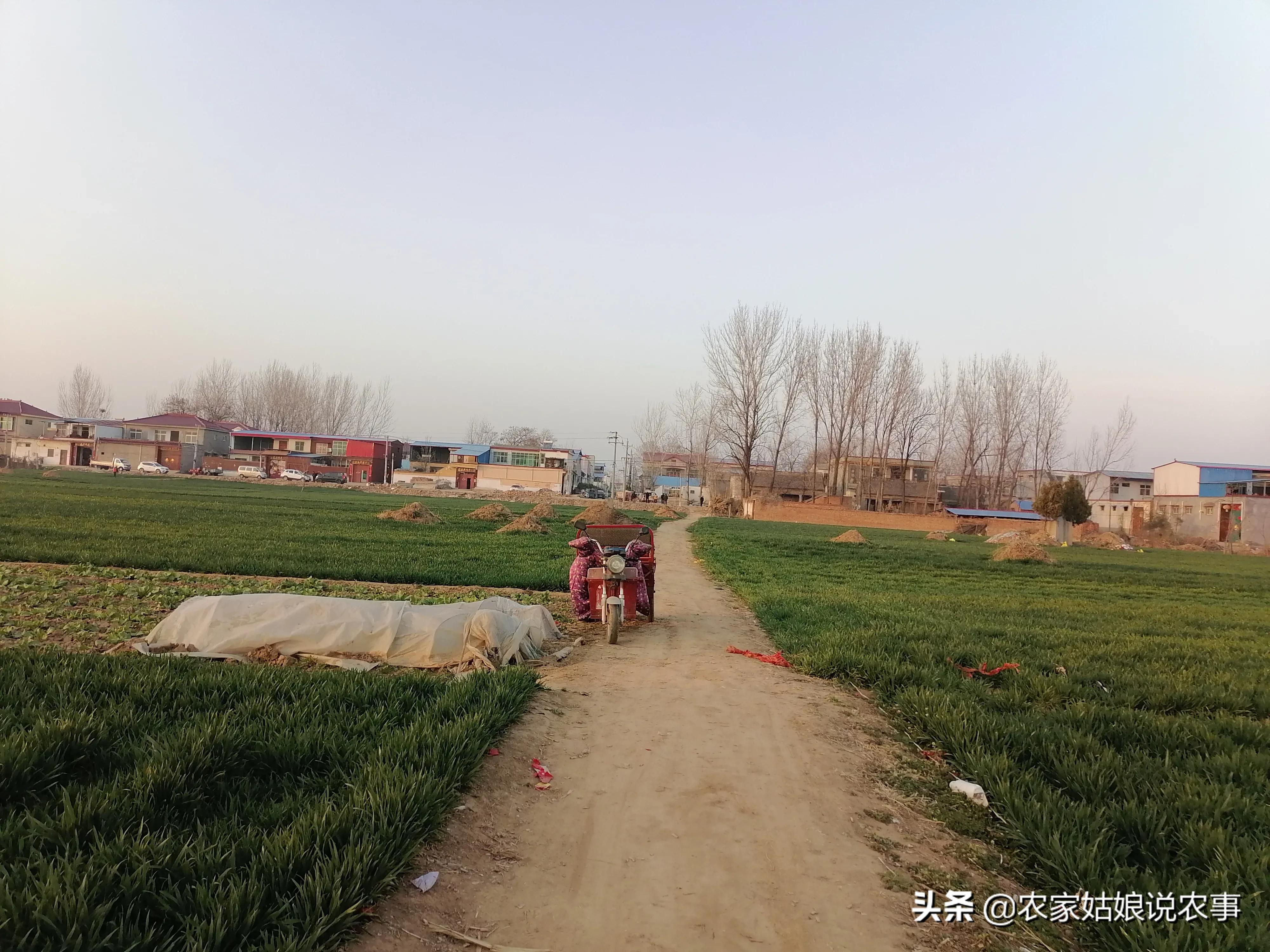 女子嫁给酒鬼丈夫,农村女人嫁给城里人怎么样