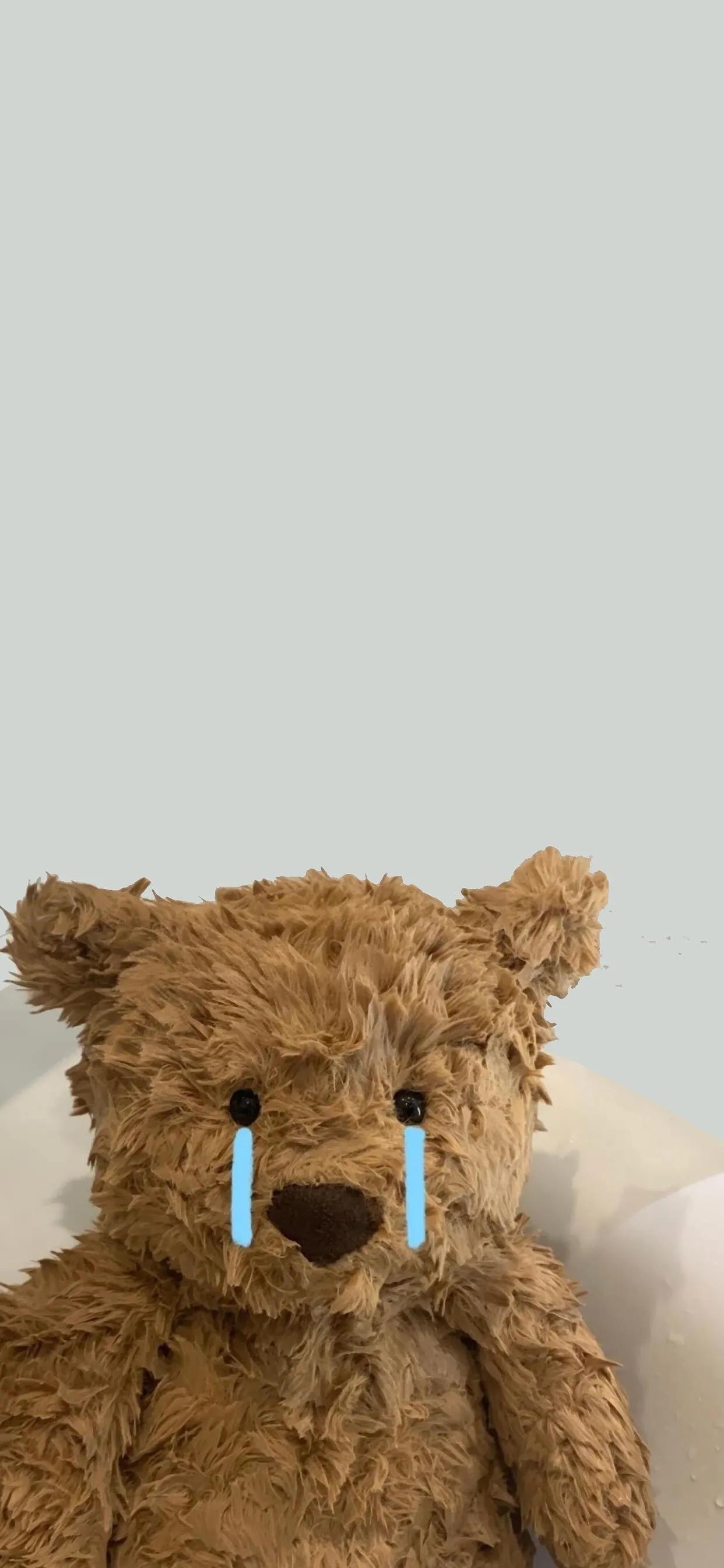 巴塞罗那熊4k壁纸,巴塞罗那熊高清手机壁纸